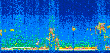 /calipso-imagery/data/BROWSE/production/V5-00/2010-09-10/2010-09-10_00-53-52_V5.00_2_thmb.png image missing