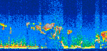 /calipso-imagery/data/BROWSE/production/V5-00/2010-09-10/2010-09-10_02-32-47_V5.00_3_thmb.png image missing