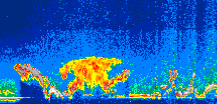 /calipso-imagery/data/BROWSE/production/V5-00/2010-09-10/2010-09-10_04-11-37_V5.00_1_thmb.png image missing