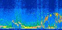 /calipso-imagery/data/BROWSE/production/V5-00/2010-09-10/2010-09-10_04-11-37_V5.00_2_thmb.png image missing
