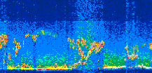 /calipso-imagery/data/BROWSE/production/V5-00/2010-09-10/2010-09-10_04-11-37_V5.00_3_thmb.png image missing