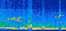 /calipso-imagery/data/BROWSE/production/V5-00/2010-09-10/2010-09-10_23-58-10_V5.00_2_thmb.png image missing