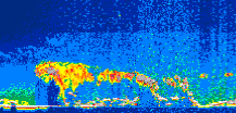 /calipso-imagery/data/BROWSE/production/V5-00/2010-09-11/2010-09-11_03-15-55_V5.00_1_thmb.png image missing