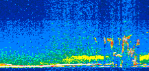/calipso-imagery/data/BROWSE/production/V5-00/2010-09-11/2010-09-11_13-09-12_V5.00_2_thmb.png image missing