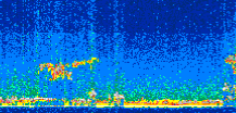 /calipso-imagery/data/BROWSE/production/V5-00/2010-09-11/2010-09-11_23-02-23_V5.00_2_thmb.png image missing