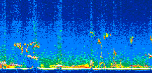 /calipso-imagery/data/BROWSE/production/V5-00/2010-09-16/2010-09-16_03-33-46_V5.00_2_thmb.png image missing