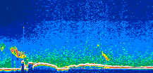 /calipso-imagery/data/BROWSE/production/V5-00/2010-09-16/2010-09-16_05-12-42_V5.00_1_thmb.png image missing