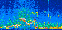 /calipso-imagery/data/BROWSE/production/V5-00/2010-09-16/2010-09-16_05-12-42_V5.00_2_thmb.png image missing