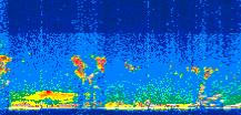/calipso-imagery/data/BROWSE/production/V5-00/2010-09-16/2010-09-16_15-05-53_V5.00_3_thmb.png image missing