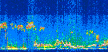 /calipso-imagery/data/BROWSE/production/V5-00/2010-09-16/2010-09-16_18-23-38_V5.00_3_thmb.png image missing