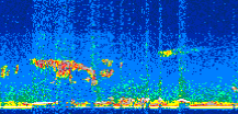 /calipso-imagery/data/BROWSE/production/V5-00/2010-09-16/2010-09-16_23-20-19_V5.00_2_thmb.png image missing