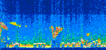 /calipso-imagery/data/BROWSE/production/V5-00/2010-09-18/2010-09-18_00-03-22_V5.00_3_thmb.png image missing