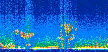 /calipso-imagery/data/BROWSE/production/V5-00/2010-09-18/2010-09-18_03-21-08_V5.00_2_thmb.png image missing