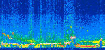 /calipso-imagery/data/BROWSE/production/V5-00/2010-09-18/2010-09-18_09-56-39_V5.00_2_thmb.png image missing