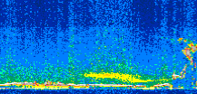 /calipso-imagery/data/BROWSE/production/V5-00/2010-09-18/2010-09-18_13-14-24_V5.00_2_thmb.png image missing