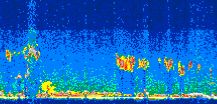 /calipso-imagery/data/BROWSE/production/V5-00/2010-09-18/2010-09-18_14-53-14_V5.00_3_thmb.png image missing