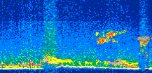 /calipso-imagery/data/BROWSE/production/V5-00/2010-09-18/2010-09-18_16-32-10_V5.00_2_thmb.png image missing