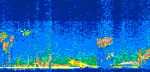 /calipso-imagery/data/BROWSE/production/V5-00/2010-09-18/2010-09-18_18-11-00_V5.00_3_thmb.png image missing