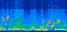 /calipso-imagery/data/BROWSE/production/V5-00/2010-09-18/2010-09-18_21-28-45_V5.00_3_thmb.png image missing