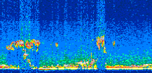 /calipso-imagery/data/BROWSE/production/V5-00/2010-09-19/2010-09-19_00-46-31_V5.00_2_thmb.png image missing