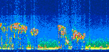/calipso-imagery/data/BROWSE/production/V5-00/2010-09-19/2010-09-19_02-25-26_V5.00_3_thmb.png image missing