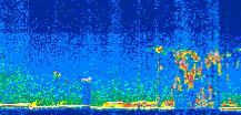 /calipso-imagery/data/BROWSE/production/V5-00/2010-09-19/2010-09-19_05-43-11_V5.00_2_thmb.png image missing