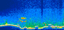 /calipso-imagery/data/BROWSE/production/V5-00/2010-09-19/2010-09-19_10-39-47_V5.00_1_thmb.png image missing