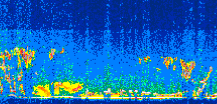 /calipso-imagery/data/BROWSE/production/V5-00/2010-09-19/2010-09-19_13-57-32_V5.00_3_thmb.png image missing