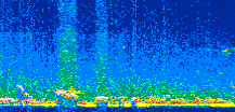 /calipso-imagery/data/BROWSE/production/V5-00/2010-09-19/2010-09-19_15-36-23_V5.00_2_thmb.png image missing