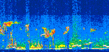 /calipso-imagery/data/BROWSE/production/V5-00/2010-09-19/2010-09-19_18-54-08_V5.00_3_thmb.png image missing