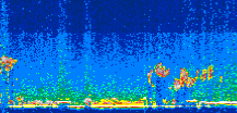 /calipso-imagery/data/BROWSE/production/V5-00/2010-09-19/2010-09-19_22-11-54_V5.00_3_thmb.png image missing