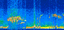 /calipso-imagery/data/BROWSE/production/V5-00/2010-09-20/2010-09-20_03-08-29_V5.00_2_thmb.png image missing