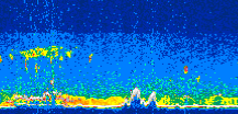 /calipso-imagery/data/BROWSE/production/V5-00/2010-09-20/2010-09-20_08-05-10_V5.00_3_thmb.png image missing