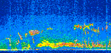 /calipso-imagery/data/BROWSE/production/V5-00/2010-09-22/2010-09-22_17-45-47_V5.00_2_thmb.png image missing