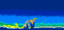 /calipso-imagery/data/BROWSE/production/V5-00/2010-09-22/2010-09-22_21-56-03_V5.00_3_thmb.png image missing