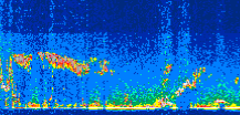 /calipso-imagery/data/BROWSE/production/V5-00/2010-09-23/2010-09-23_02-00-09_V5.00_3_thmb.png image missing