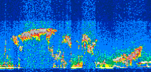 /calipso-imagery/data/BROWSE/production/V5-00/2010-09-23/2010-09-23_03-39-04_V5.00_3_thmb.png image missing