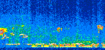 /calipso-imagery/data/BROWSE/production/V5-00/2010-09-23/2010-09-23_15-11-10_V5.00_2_thmb.png image missing