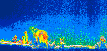 /calipso-imagery/data/BROWSE/production/V5-00/2010-09-23/2010-09-23_16-50-00_V5.00_1_thmb.png image missing