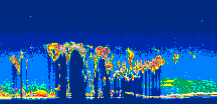 /calipso-imagery/data/BROWSE/production/V5-00/2010-09-24/2010-09-24_06-53-37_V5.00_2_thmb.png image missing