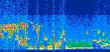 /calipso-imagery/data/BROWSE/production/V5-00/2010-09-24/2010-09-24_19-12-04_V5.00_3_thmb.png image missing