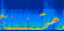 /calipso-imagery/data/BROWSE/production/V5-00/2010-09-25/2010-09-25_01-47-35_V5.00_3_thmb.png image missing