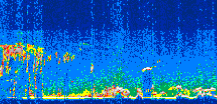 /calipso-imagery/data/BROWSE/production/V5-00/2010-09-25/2010-09-25_03-26-25_V5.00_3_thmb.png image missing