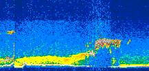 /calipso-imagery/data/BROWSE/production/V5-00/2010-09-25/2010-09-25_10-01-56_V5.00_3_thmb.png image missing