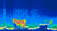 /calipso-imagery/data/BROWSE/production/V5-00/2010-09-25/2010-09-25_11-40-51_V5.00_4_thmb.png image missing