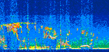 /calipso-imagery/data/BROWSE/production/V5-00/2010-09-25/2010-09-25_18-16-22_V5.00_3_thmb.png image missing