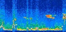 /calipso-imagery/data/BROWSE/production/V5-00/2010-09-26/2010-09-26_15-41-45_V5.00_2_thmb.png image missing