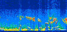 /calipso-imagery/data/BROWSE/production/V5-00/2010-09-26/2010-09-26_17-20-35_V5.00_3_thmb.png image missing
