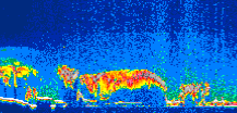 /calipso-imagery/data/BROWSE/production/V5-00/2010-09-26/2010-09-26_20-38-21_V5.00_1_thmb.png image missing