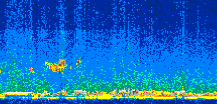 /calipso-imagery/data/BROWSE/production/V5-00/2010-09-26/2010-09-26_22-17-16_V5.00_2_thmb.png image missing